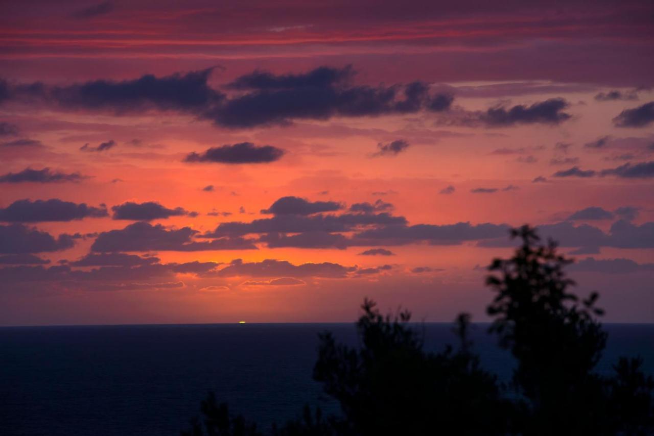 Solmaris Tropea Rooms & Suites Εξωτερικό φωτογραφία